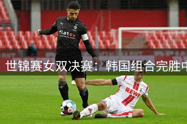 世锦赛女双决赛：韩国组合完胜中国队夺冠
